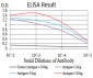 BMP4 Antibody